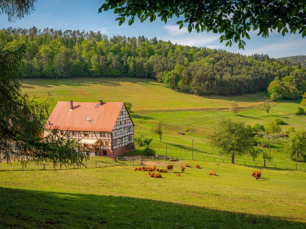 trabajos de albañilería en edificios residenciales